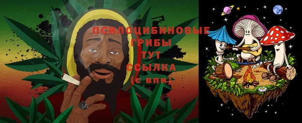 гашиш Новодвинск