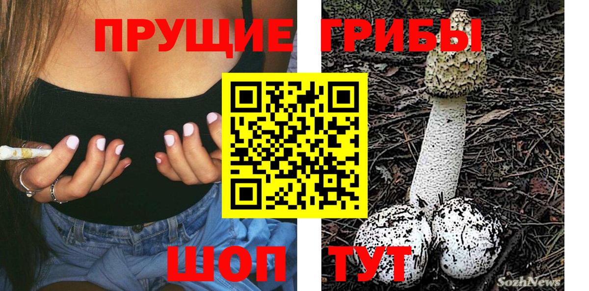 Россошь  Псилоцибиновые грибы GOLDEN TEACHER  Вход с VPN 