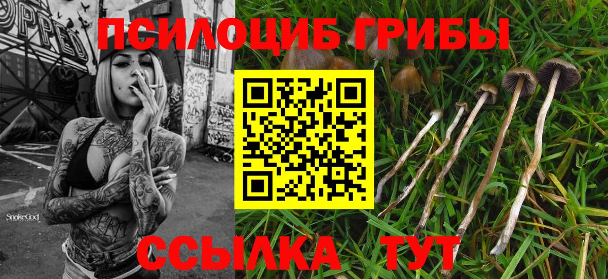 Псилоцибиновые грибы MAGIC MUSHROOMS Россошь