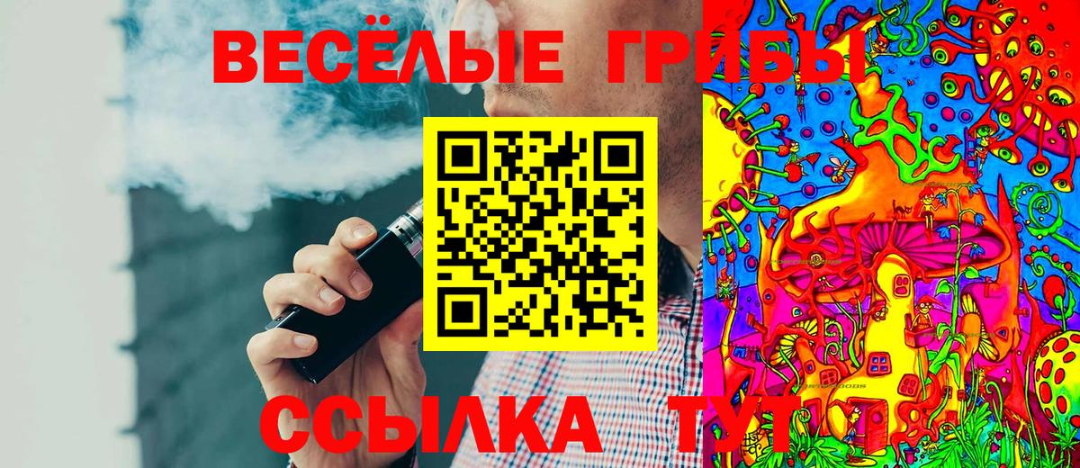 Галлюциногенные грибы GOLDEN TEACHER  где купить наркоту  Россошь 