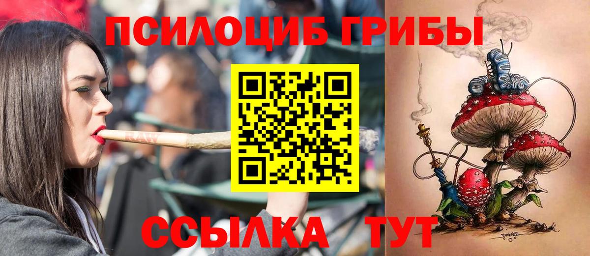 Псилоцибиновые грибы мухоморы Россошь